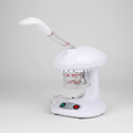 Vapor Ozono Steam Beauty Mesa